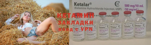 прущие грибы Нефтекумск