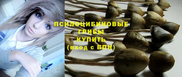 гашиш Магас