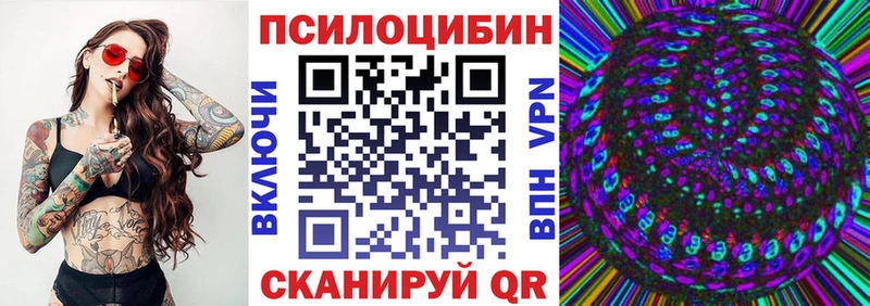 Псилоцибиновые грибы Cubensis  Тогучин 