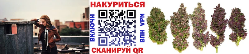 Шишки марихуана ГИДРОПОН  Тогучин 